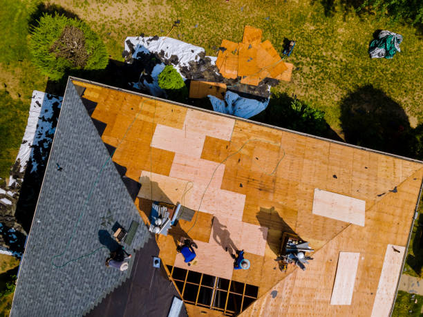 Best Storm Damage Roof Repair  in Waverly, MN