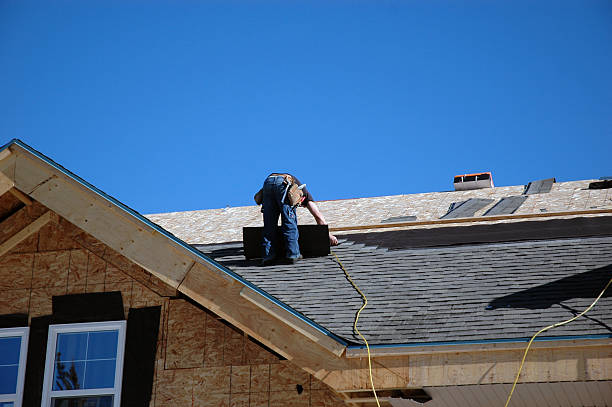 Best Metal Roofing Contractor  in Waverly, MN