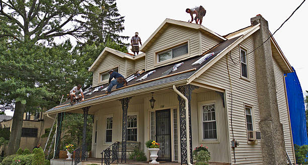 Best Gutter Installation and Roofing  in Waverly, MN