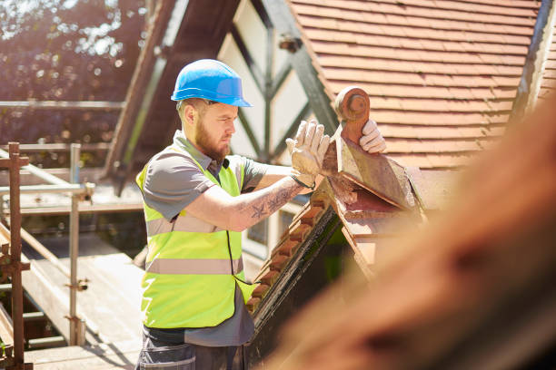 Best Roof Gutter Cleaning  in Waverly, MN