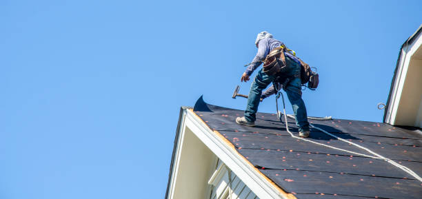 Best Roof Replacement Cost  in Waverly, MN